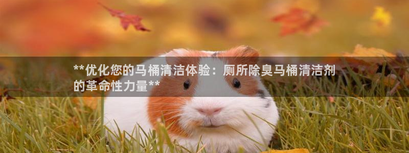 尊龙凯时注册地址：**优化您的马桶清洁体验：厕所除臭马桶