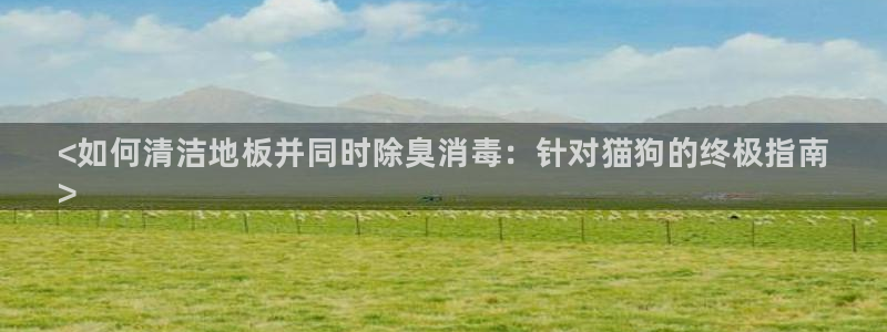 尊龙官网APP下载：<如何清洁地板并同时除臭消毒：针对猫