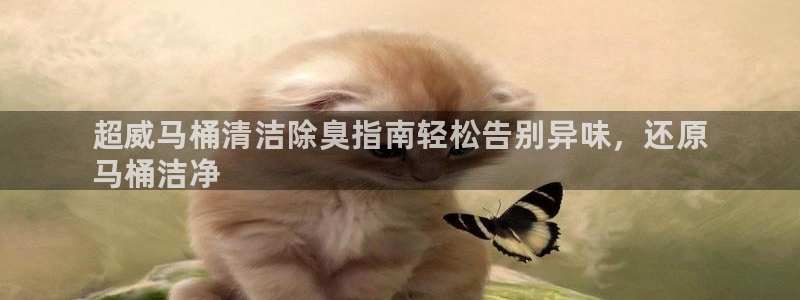 尊龙凯时人生就是搏官：超威马桶清洁除臭指南轻松告别异味，