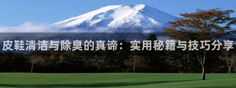 尊龙/人生就是博