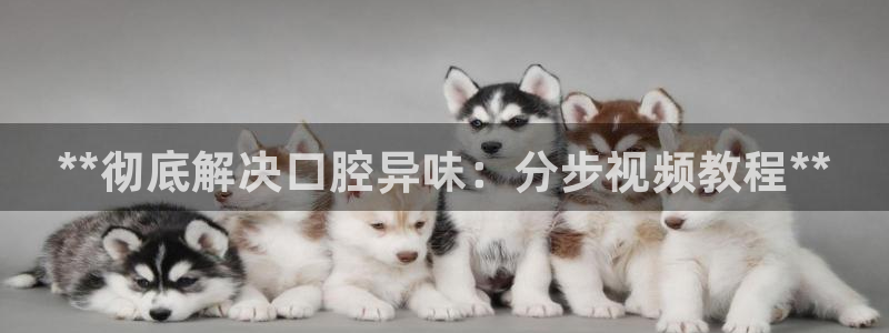 尊龙凯时ag旗舰：*