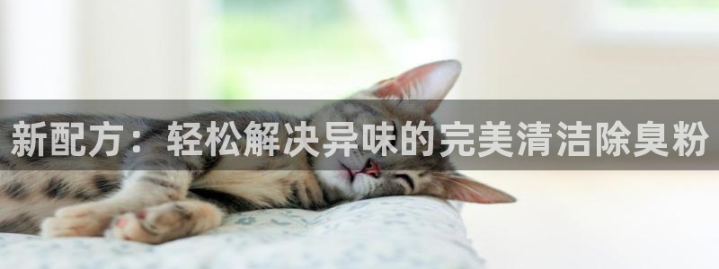 ag尊龙凯时俱乐部