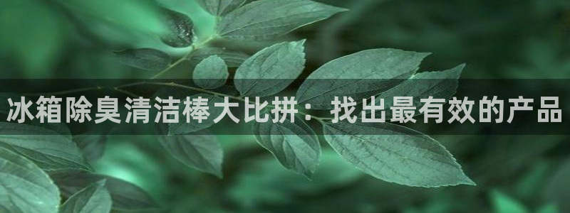 凯时k66娱乐登录：冰箱除臭清洁棒大比拼：找出最有效的产