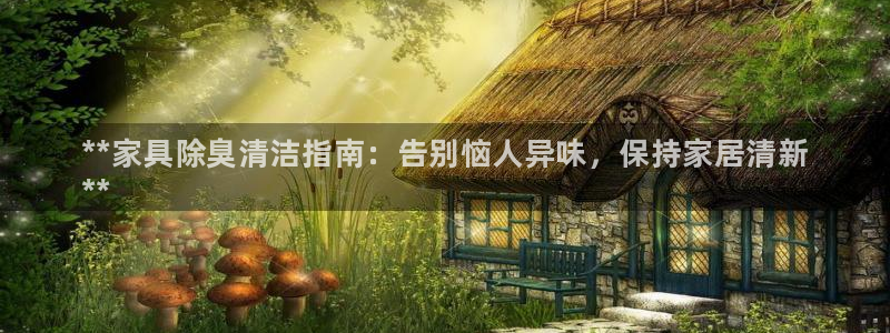 尊龙服饰品牌介绍：*