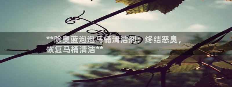 尊龙集团有限公司官网：**除臭蓝泡泡马桶清洁剂：终结恶臭，
