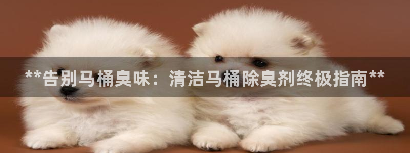 尊龙一人生就是搏：*