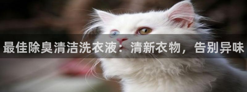 ag尊龙凯时俱乐部