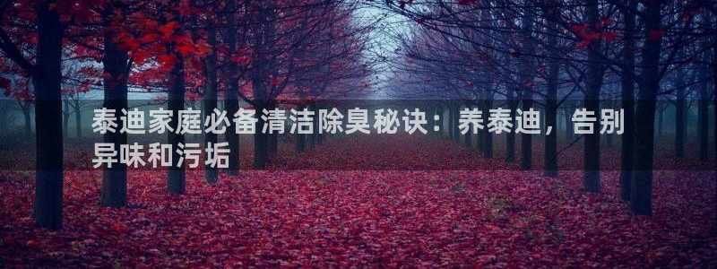 尊龙凯时企业文化：泰迪家庭必备清洁除臭秘诀：养泰迪，告别