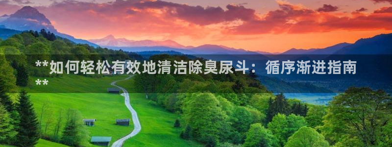 尊龙凯时 - 人生就是搏有假吗：**如何轻松有效地清洁除