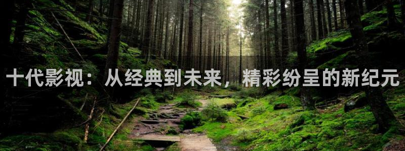 电影月之晴天：十代影视：从经典到未来，精彩纷呈的新纪元