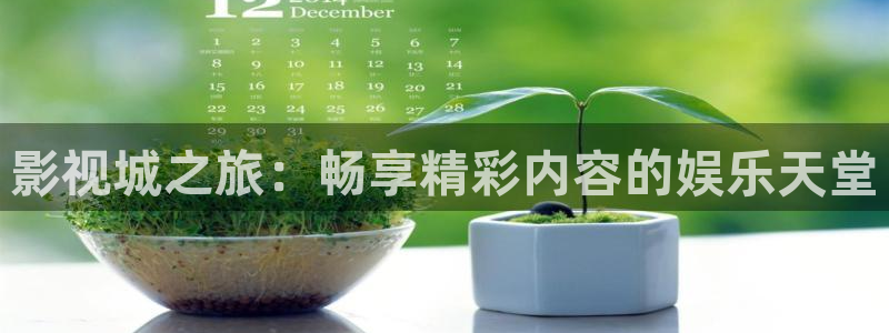 晴天影视官方下载app：影视城之旅：畅享精彩内容的娱乐天堂