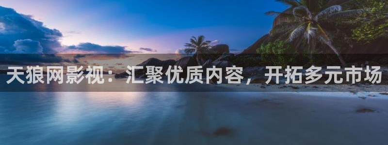晴天影视正版：天狼网影视：汇聚优质内容，开拓多元市场