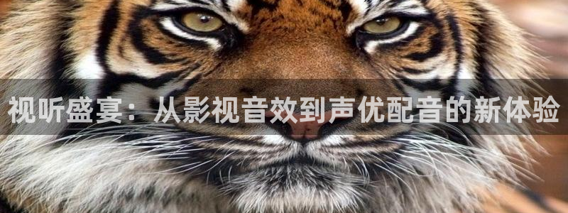 晴天影视官网下载：视听盛宴：从影视音效到声优配音的新体验