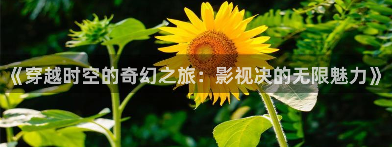 晴天影视免费下载app：《穿越时空的奇幻之旅：影视决的无限魅力》