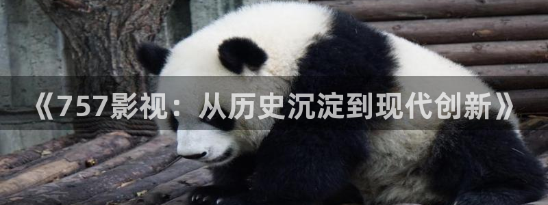 晴天影视正版：《757影视：从历史沉淀到现代创新》