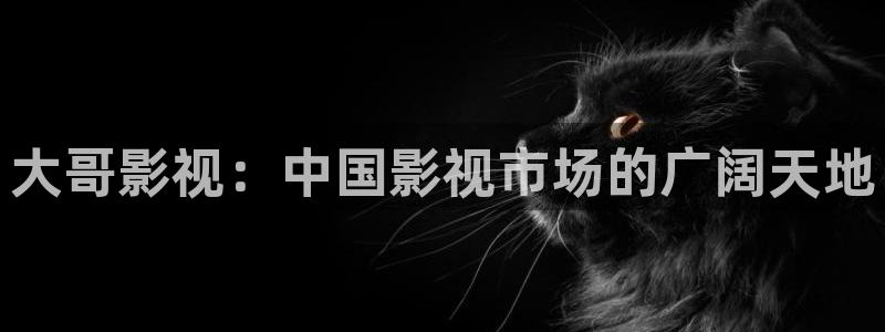 晴天影视免费下载：大哥影视：中国影视市场的广阔天地
